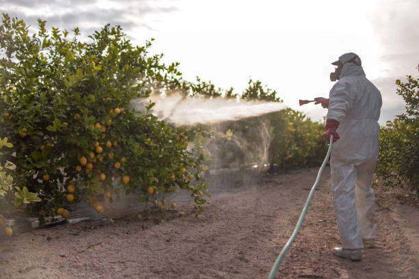 Best Residential Pest Control  in Demorest, GA