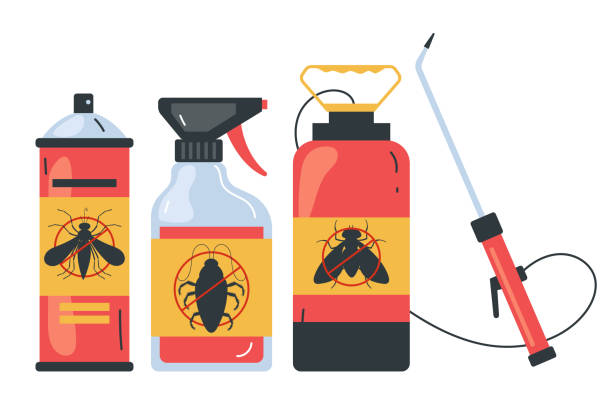 Best Insect Control  in Demorest, GA