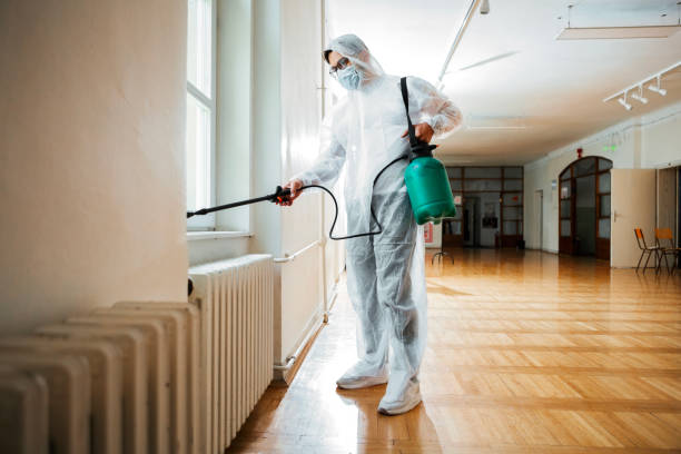 Best Best Pest Control Companies  in Demorest, GA
